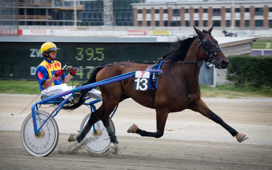 Sulky harness racing showing a brown horse and a cart with white wheels & blue connectors. The jockey of course is in a colorful outfit with a yellow helmet.
