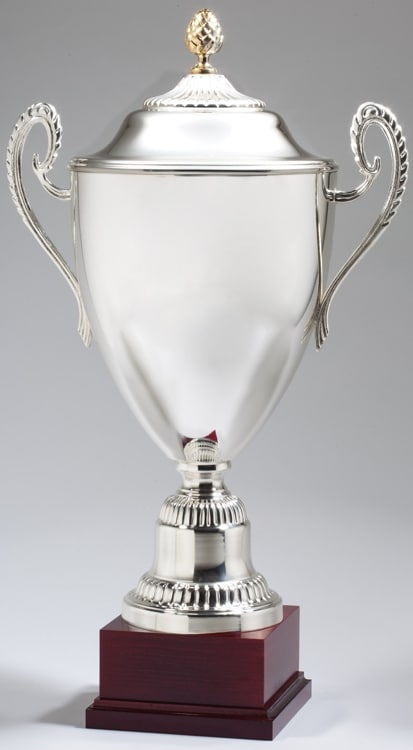 1573 Series Silver Trophy Cup Free Engraving And Shipping