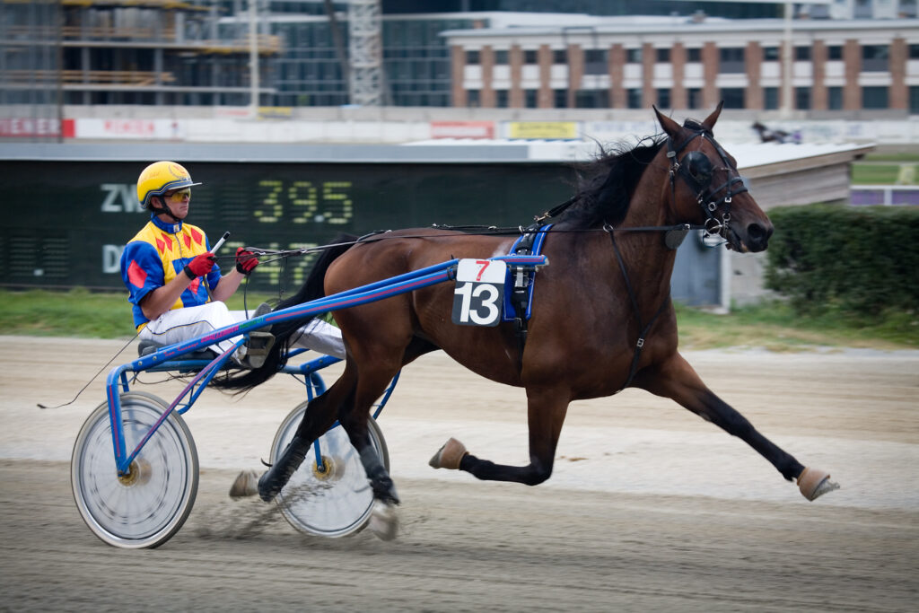 Sulky harness racing showing a brown horse and a cart with white wheels & blue connectors. The jockey of course is in a colorful outfit with a yellow helmet.